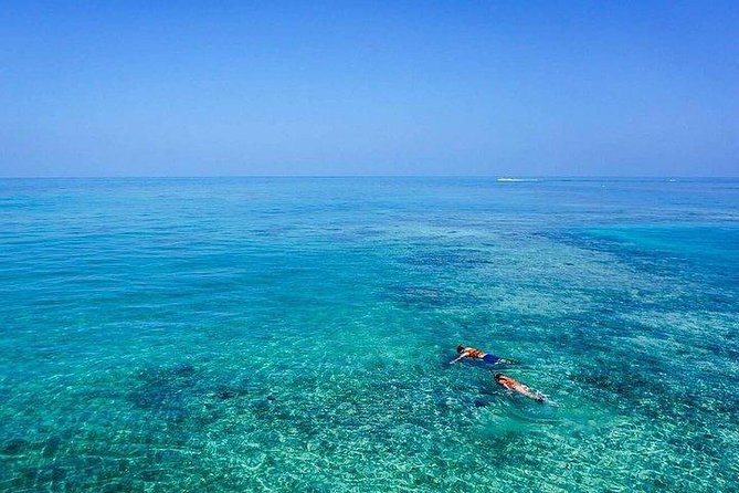 Dolphin Encounters, Ile aux Benitier & Crystal rock: Full-Day (Lunch & Transfer) - Practical Tips That Make This Day Smoother