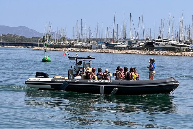 Dolphin Expedition Shared Speedboat tour with Biologist guide - The Arade River cruise: Portimão landmarks and orientation