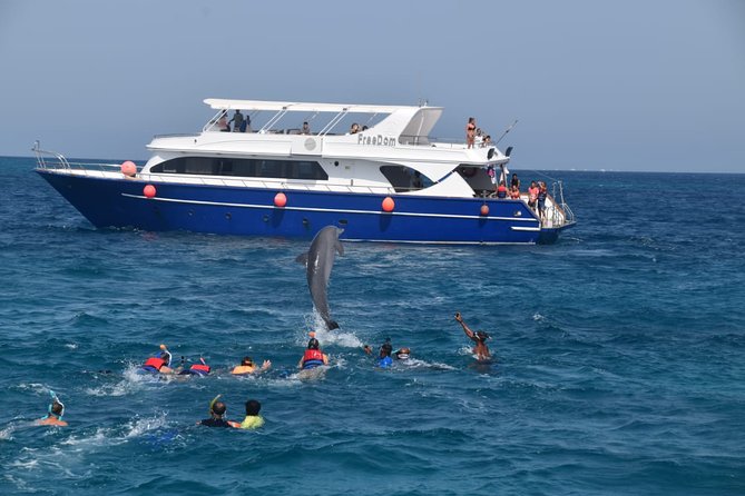 Dolphin House and Banana Boat Fun from Hurghada - Key highlights to know before you go