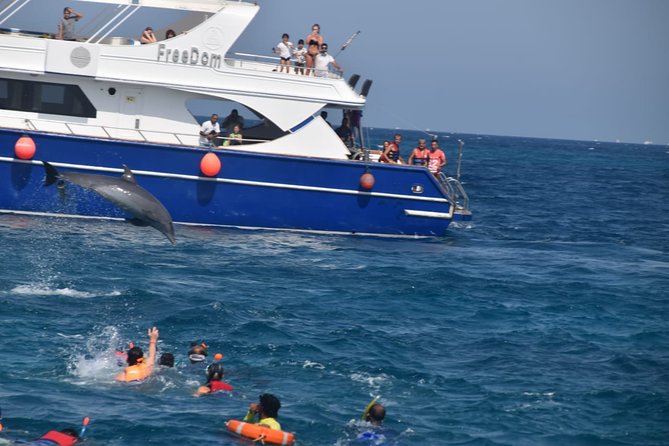 Dolphin House and Banana Boat Fun from Hurghada - What this Dolphin House and Banana Boat trip really delivers