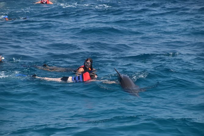 Dolphin House and Banana Boat Fun from Hurghada - Getting to the marina: pickup from your hotel
