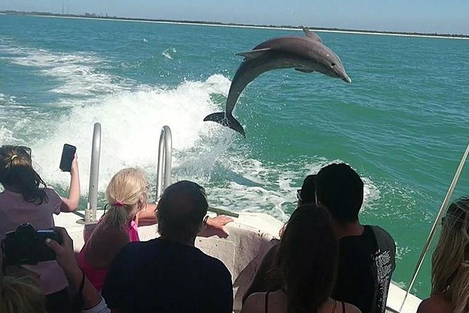 Dolphin House By Private Speed Boat & Drinks & Transfer-Hurghada - The Private Speedboat Ride: Comfort, Crew, and Conditions
