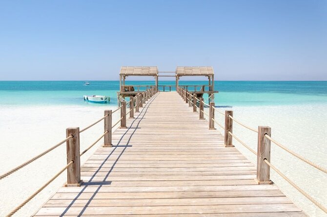 Dolphin House By Private Speedboat With Giftun Island _ Hurghada - Should You Book This Dolphin House Speedboat Tour From Hurghada?