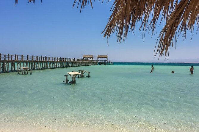 Dolphin House By Private Speedboat With Giftun Island _ Hurghada - Orange Island and Giftun Island: What Your Island Time Really Means