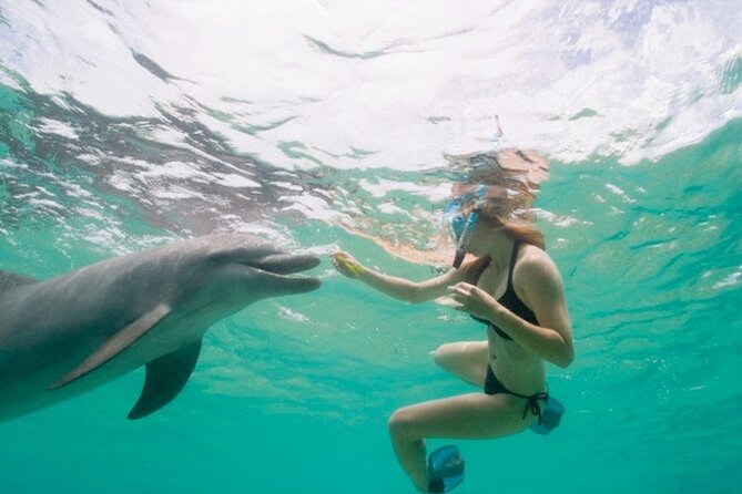 Dolphin House Cruise with water sports and Lunch in Hurghada - Key Things to Know Before You Go