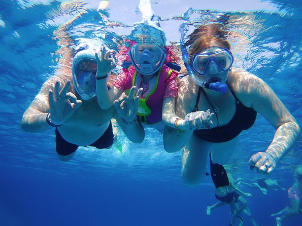 Dolphin House Reef Snorkeling Sea Trip With Transfer - Marsa Alam - Full-day schedule: what your 9 hours usually look like
