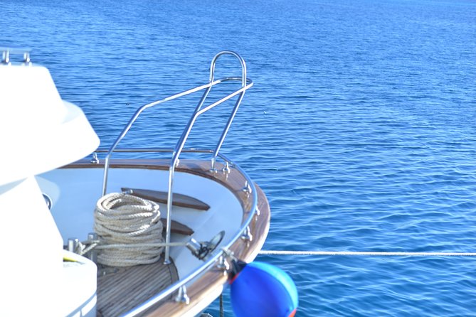 Dolphin House Reef Snorkeling Sea Trip With Transfer - Marsa Alam - Price and value: $52 plus park fees
