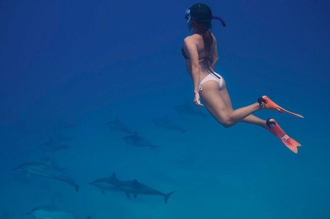 Dolphin House Royal VIP Special Day Snorkeling Sea Trip With Lunch - Hurghada - Dolphin House in open water: what you’re really chasing