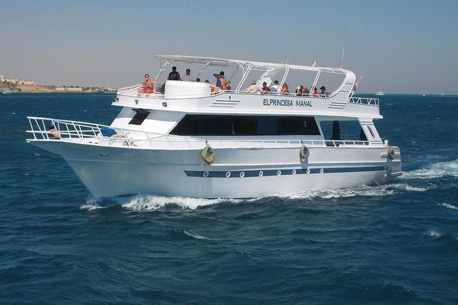Dolphin House Royal VIP Special Day Snorkeling Sea Trip With Lunch - Hurghada - The 8-hour rhythm: pickup, marina start, reef hopping, and back