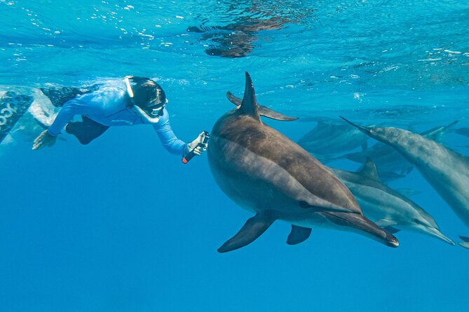 Dolphin House Samadai Reef Boat Snorkeling Trip from Marsa Alam - Snorkeling #1: clear-water reef time