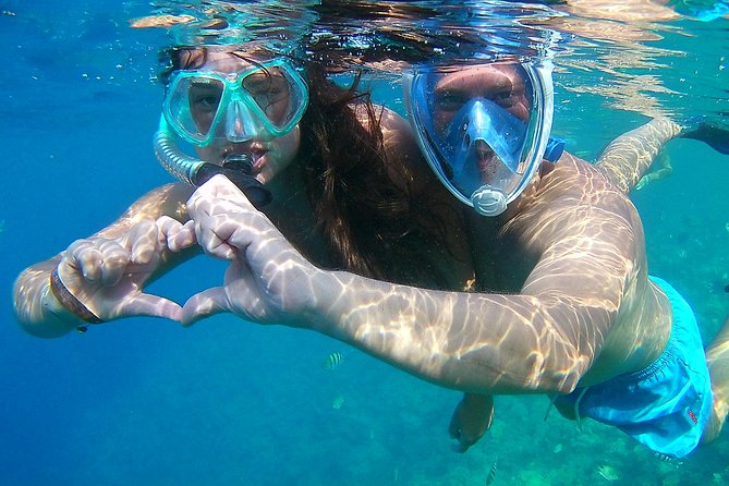 Dolphin House Sea Trip with Snorkeling Adventure - Marsa Alam - Snorkeling Stop #1: Easy, Guided, and Built for First-Timers