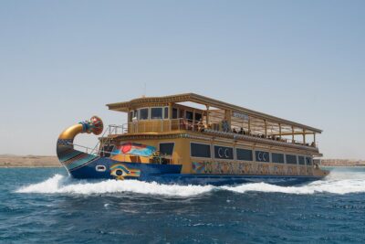 Dolphin House Sea Trip with Snorkeling Adventure - Marsa Alam - The 7:00 am Start and How the Day Unfolds (Without Guesswork)