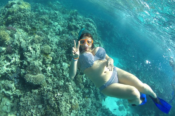 Dolphin House Sea Trip with Snorkeling Adventure - Marsa Alam - Lunch on the Boat: A Real Break (Not a Token Snack)