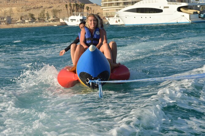 Dolphin House Snorkeling Sea Trip, Water Sport , Lunch - Hurghada - What It’s Like When Dolphins Show Up (and How to Stay Calm)