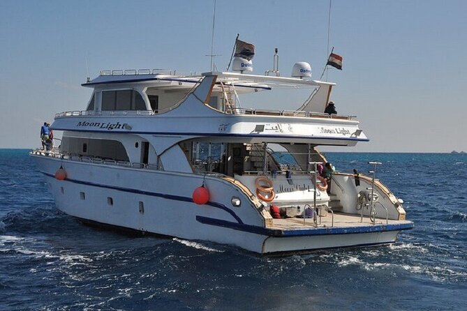 Dolphin House Snorkeling Sea Trip, Water Sport , Lunch - Hurghada - Price and Value: The $5 Offer vs Real-World Costs