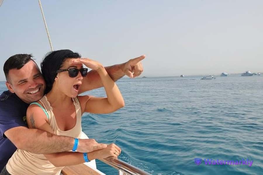 Dolphin house snorkeling trip - Key things to know before you go