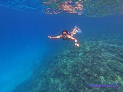 Dolphin house snorkeling trip - Boat setup: snorkeling gear, lunch, and the comforts that prevent crankiness