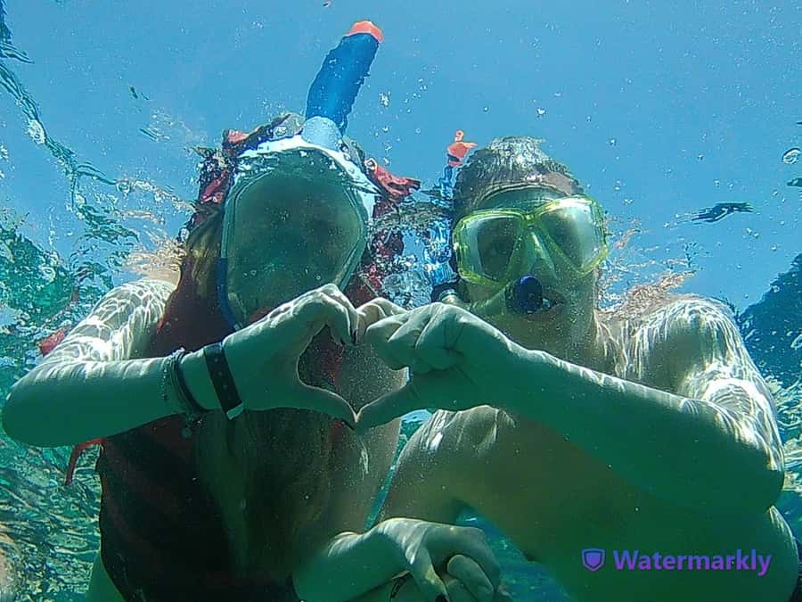 Dolphin house snorkeling trip - Price and value: is $53 a smart deal in the real world?