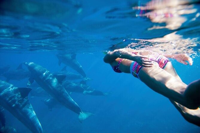 Dolphin House Snorkeling Trip + Water Sport With Lunch - Hurghada - Timing and Timing Reality: Start Early, Plan for a Full Day