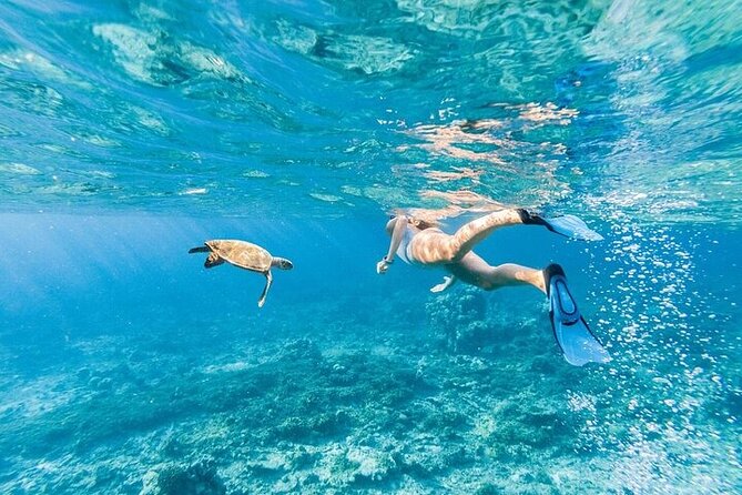Dolphin House Snorkeling Trip + Water Sport With Lunch - Hurghada - Who Should Book This Tour (and Who Might Skip)