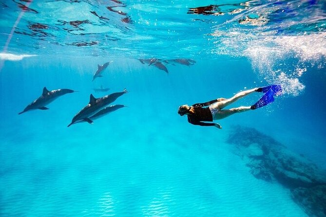 Dolphin House Snorkeling Trip + Water Sport With Lunch - Hurghada - Lunch and Drinks: Easy Fuel Without a Scavenger Hunt