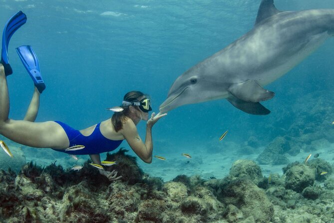 Dolphin House Snorkeling Trip & Water Sports with Lunch -Hurghada - Key highlights before you go