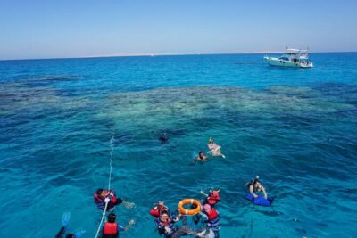 Dolphin house Snorkeling trip with Banan & Sofa Boat in Hurghada - Getting There: 8:30 Start Time and Hotel Pickup That Saves Stress