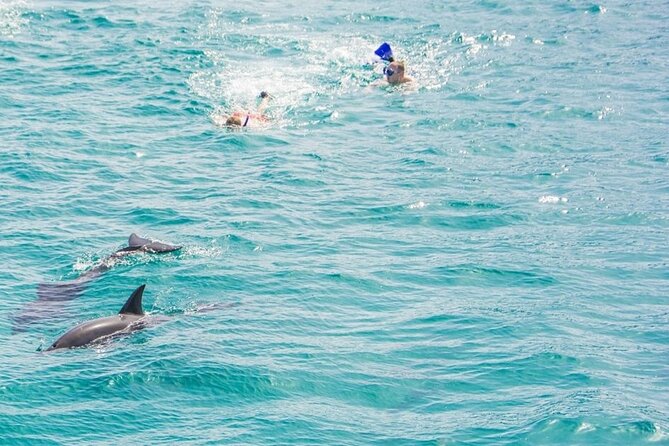 Dolphin House Snorkeling,Water Sports, Lunch & Transfer- Hurghada - Hotel pickup, extra transfer zones, and the national park fee