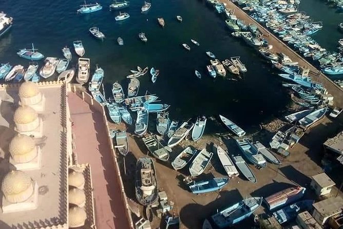 Dolphin House with Snorkeling in Hurghada - The day schedule: timing, group size, and how long it really feels