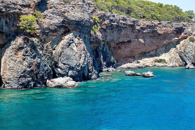 Dolphin Island Boat Trip – Swim, Sun & Lunch Included - Drinks, snacks, and the photo upsell