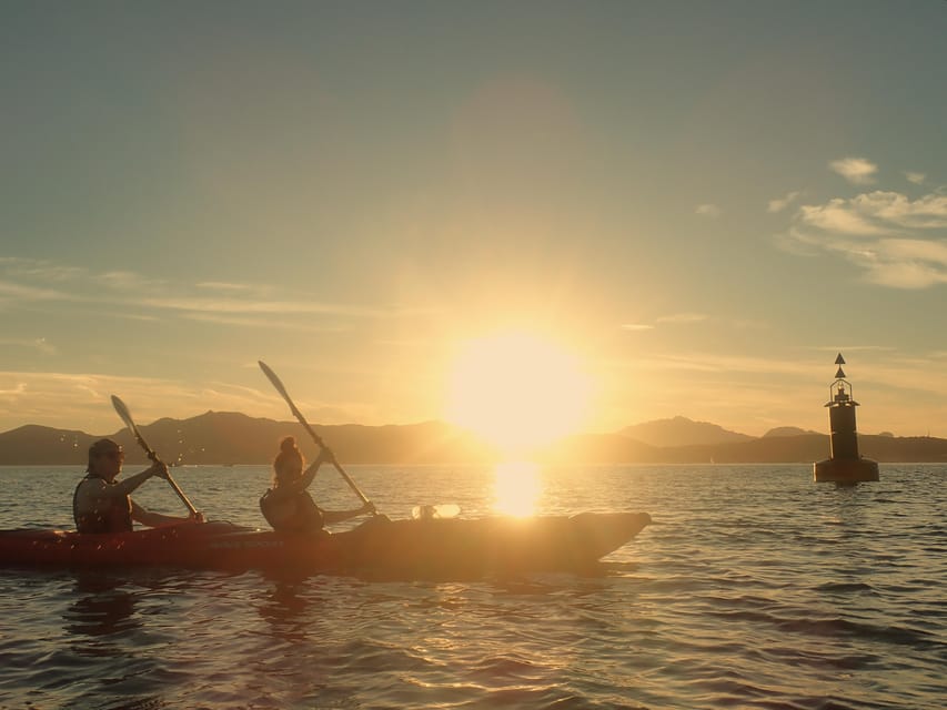 Dolphin Kayak Safari at Sunset at Golfo Aranci - Sunset Dolphin Kayak Safari: what you’re really signing up for