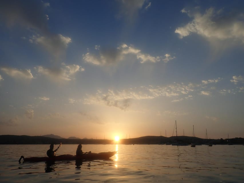 Dolphin Kayak Safari at Sunset at Golfo Aranci - Snorkeling included: how to make it comfortable