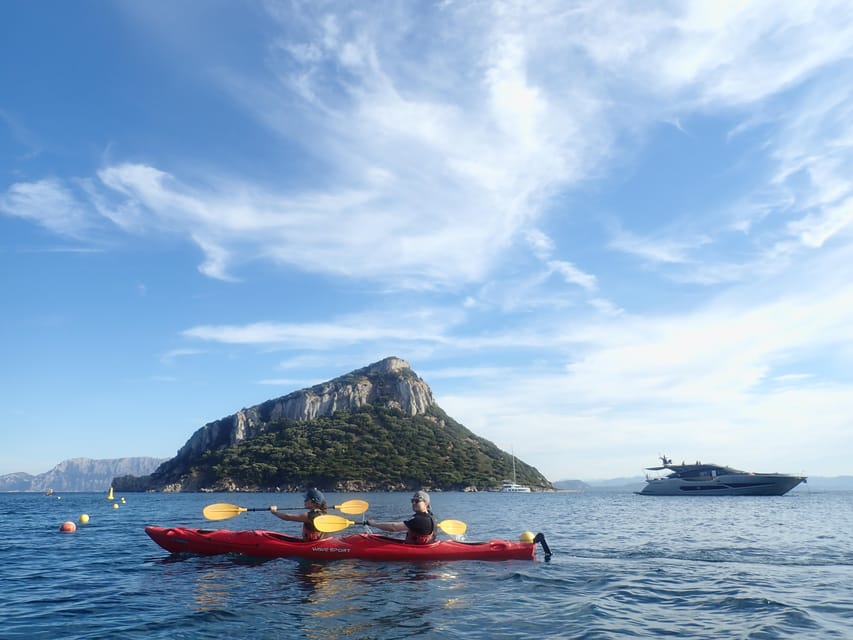 Dolphin Kayak Safari at Sunset at Golfo Aranci - Price and value: is $62 a fair deal?