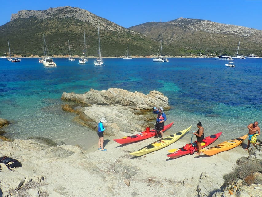 Dolphin Kayak Safari at Sunset at Golfo Aranci - What to bring (so you don’t spend the day improvising)