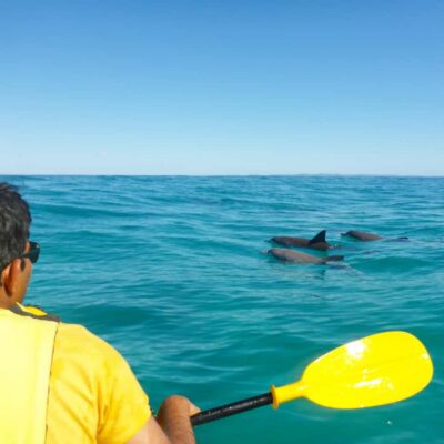 Dolphin Kayak Tour & Beach 4X4 National Park Tour (Private) - Honeymoon Bay: turquoise water and real wildlife moments