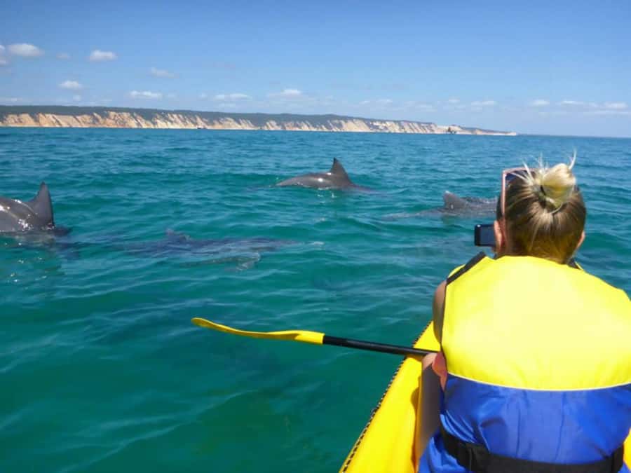 Dolphin Kayak Tour & Beach 4X4 National Park Tour (Private) - Who this tour suits best (and who should skip it)