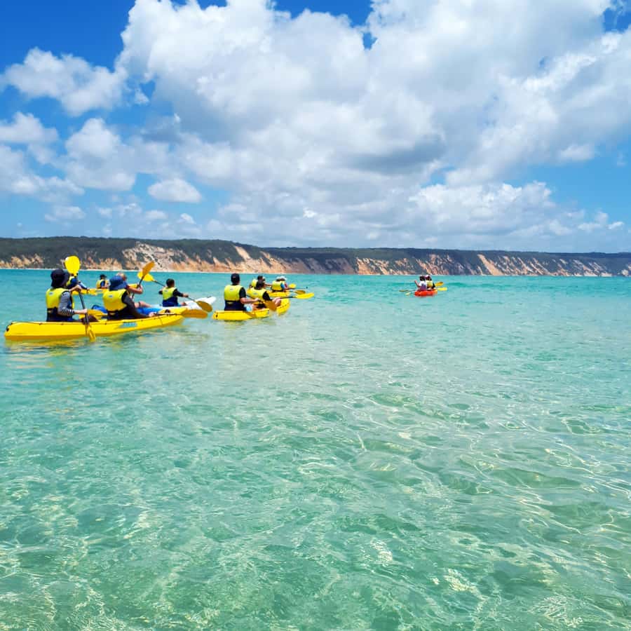 Dolphin Kayak Tour & Beach 4X4 National Park Tour (Private) - Should you book the Dolphin Kayak Tour & Beach 4X4 National Park Tour (Private)?