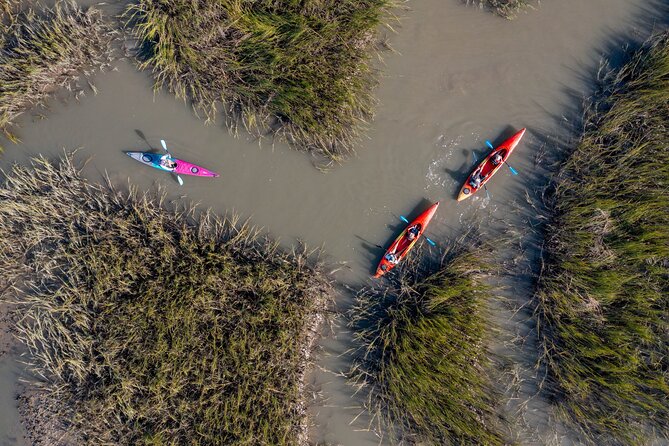 Dolphin Kayak Tour on Folly Beach - Where You Start at 83 Center St (And Why Arrive Early)