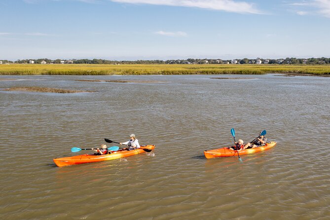 Dolphin Kayak Tour on Folly Beach - Once You’re on the Water: Estuary Ecology and Wildlife Spotting