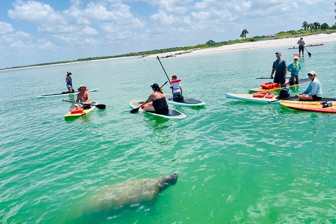 Dolphin, Manatee and Sea Turtle Adventure Tour of Bonita Springs - The guides make or break it: Eric, Doug, and Chase