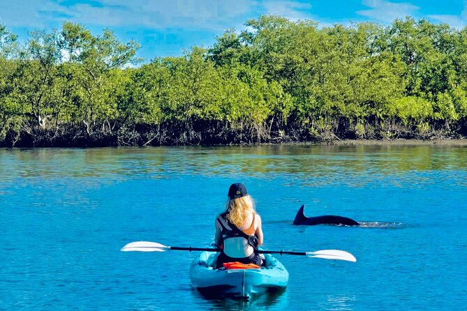 Dolphin, Manatee and Sea Turtle Kayak Adventure - Quick Takeaways Before You Paddle