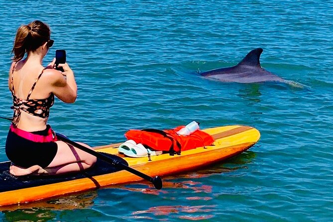 Dolphin, Manatee and Sea Turtle Kayak Adventure - Price and Value at $65 for a Private 2-Hour Tour