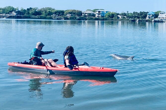 Dolphin, Manatee and SeaTurtle SUP Adventure Tour of St Augustine - Key Things To Know Before You Go
