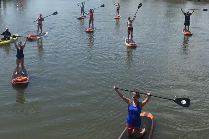Dolphin, Manatee and SeaTurtle SUP Adventure Tour of St Augustine - Wildlife Chances: Dolphins, Sea Turtles, And The Manatee Reality Check