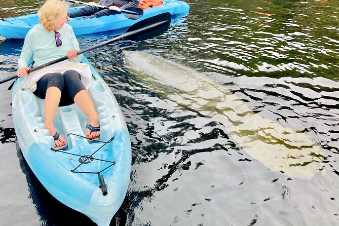 Dolphin, Manatee and SeaTurtle SUP Adventure Tour of St Augustine - Weather Is Part Of The Deal (And It Affects Wildlife)