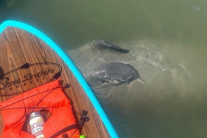 Dolphin, Manatee and SeaTurtle SUP Adventure Tour of St Augustine - The On-Water Route: Anastasia State Park’s Dunes And Wildlife Edge