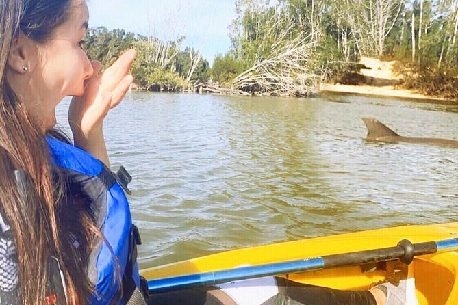 Dolphin & Manatee Kayaking Tour in Orlando Area - Key highlights you’ll care about