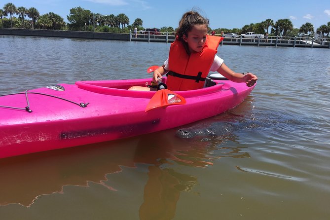 Dolphin & Manatee Kayaking Tour in Orlando Area - What this tour includes (and what it doesn’t)