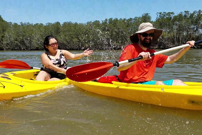 Dolphin & Manatee Kayaking Tour in Orlando Area - Who should book this dolphin and manatee kayaking tour