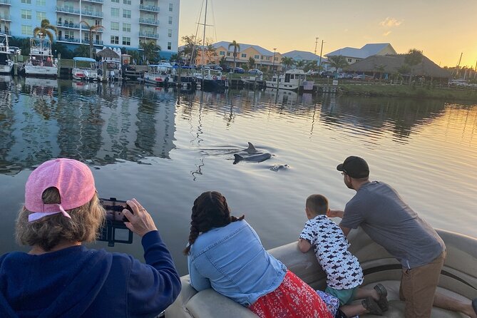 Dolphin/Manatee Pontoon Boat Tour with Local Expert - Key points to know before you go